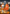 Perth Scorchers BBL Hero Supporter Pack - Mask & Cape Set