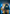 North Queensland Cowboys Kids NRL Hero Pack – Cape & Mask Set