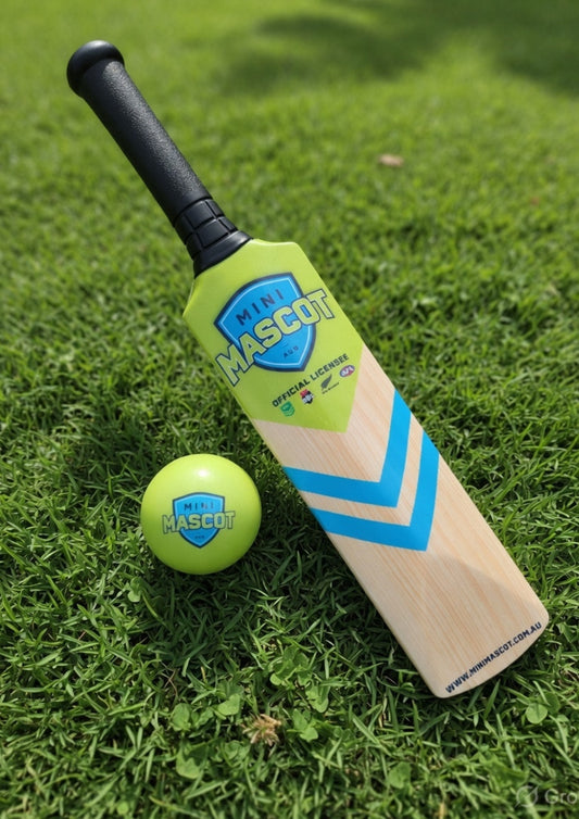 Soft Touch Cricket Set
