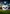 Canterbury Bulldogs NRL Mini Mascot Kids Mask
