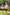 BRISBANE BRONCOS - HERO PACK