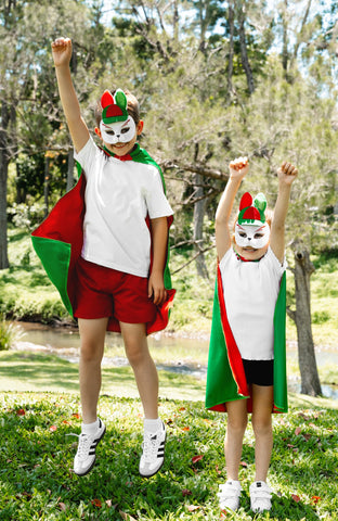 South Sydney Rabbitohs Kids NRL Hero Pack – Cape & Mask Set