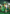 Melbourne Stars BBL Hero Supporter Pack - Mask & Cape Set