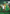 Melbourne Stars BBL Hero Supporter Pack - Mask & Cape Set