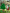 SOUTH SYDNEY RABBITOHS - HERO PACK