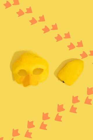DUCK - Animal mask & tail
